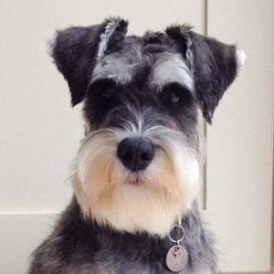 Meet your Posher, Gloria